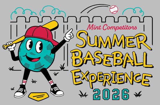 2026 Summer Baseball Experience